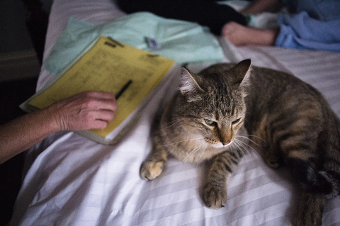 denverhomebirth_imthiazhouseman03