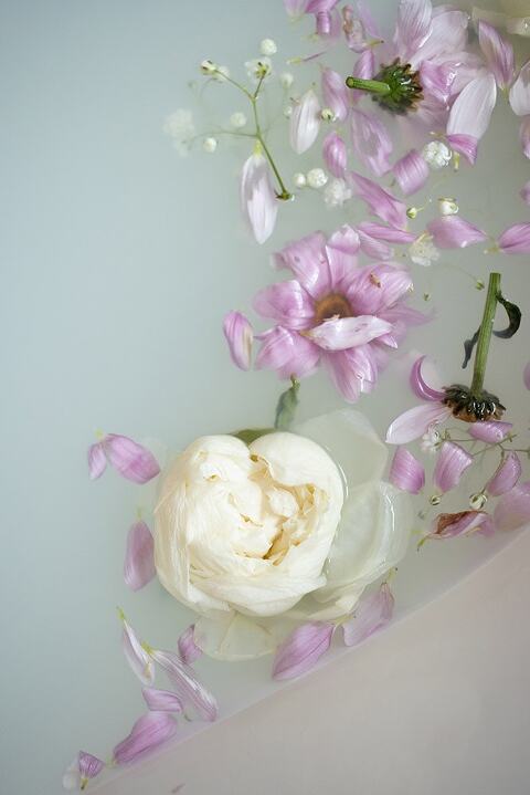 flowers in a milk bath